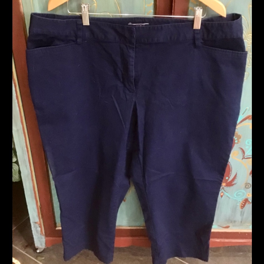 Navy Cropped Chinos, 20W
